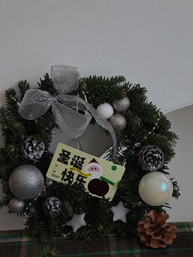圣诞挂件  摩登花环