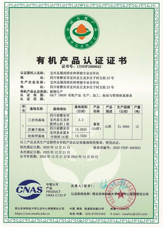 有机雪山山药｜养脾胃｜零农残｜现采挖现发货｜雅安顺丰 商品图14