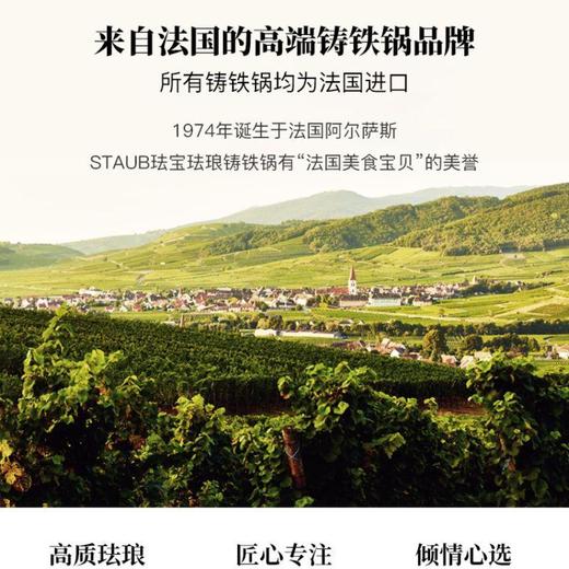 双立人-STAUB 圆形炖锅24cm（颜色备注） 商品图4