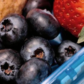 [屁侠推荐]云南露天L25花香蓝莓 125g*4盒 鲜嫩爆浆 花青素丰富 护眼养眼