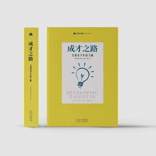 《成才之路：发展青少年的天赋》 商品图1