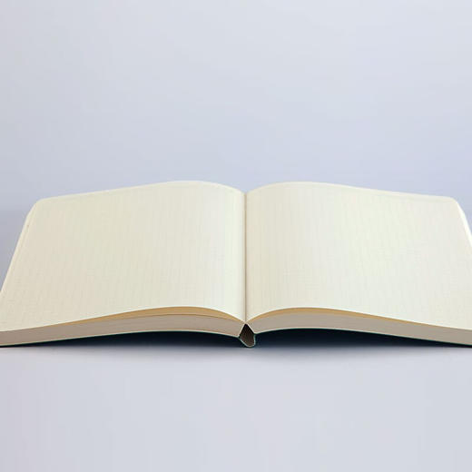 齐心Compera 皮面笔记本C8032  A5 154张 商品图1