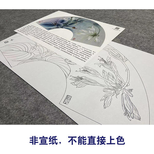 【大彩图】杨冬冬工笔画白描底稿扇面小品《玉簪花》临摹勾线花鸟线稿HD60 商品图2