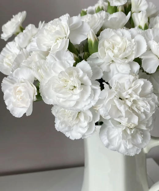 【稀有系列】多丁康乃馨-茉莉（白色）约20枝/扎 商品图2