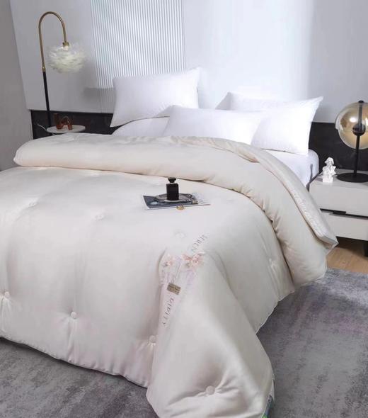 大豆被7斤200*230cm 商品图0