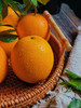 赣南脐橙(生态防护种植 不泡防腐）10斤装 果径90-95mm 商品缩略图2