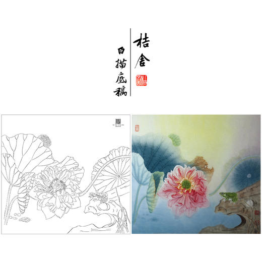 【大彩图】杨冬冬工笔画白描底稿小品《浮香绕岸》荷花临摹勾线花鸟线稿HD26 商品图0