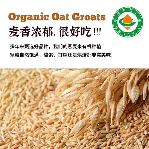 内蒙古有机燕麦米 商品图1
