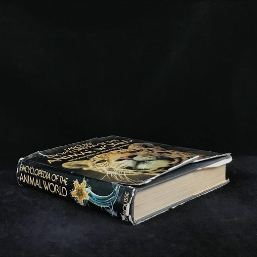 拉鲁斯动物世界百科全书 1000余幅彩色插图 精装大16开 商品图1
