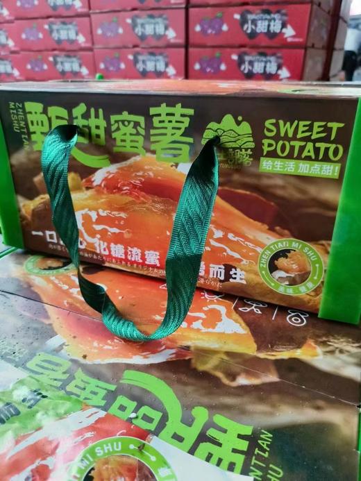 周日取货：【甄甜蜜薯】一箱毛重4.2斤左右，软糯香甜，口口留香！ 商品图3