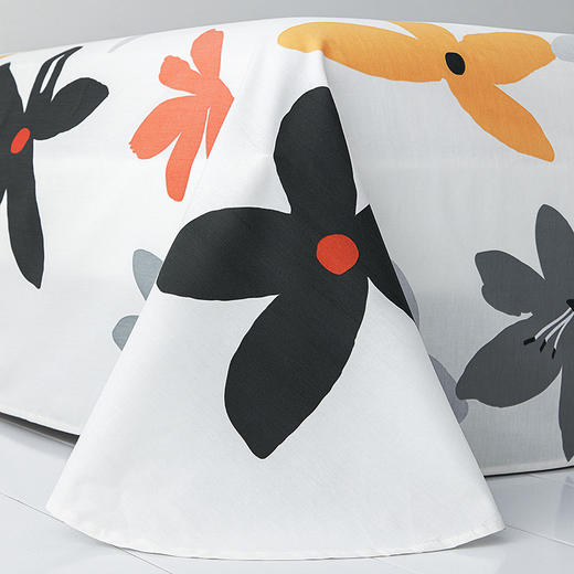 【梦洁】磨绒印花四件套 恋青春（被套200*230cm 床单230*250cm，枕套48*74cm ） 商品图13