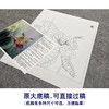 【大彩图】杨冬冬工笔画白描底稿小品《莲蕊染香尘》荷花临摹勾线花鸟线稿HD24 商品缩略图1