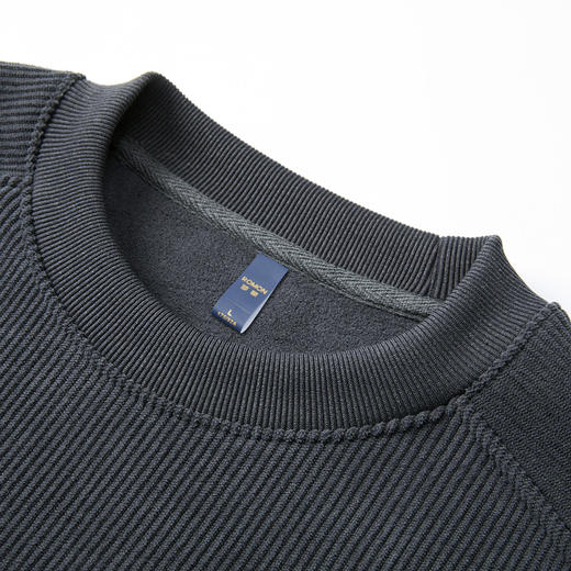 27DKYZ63057【加绒保暖 海藻纹】罗蒙秋冬男装卫衣加绒加厚男士休闲百搭卫衣男卫衣 商品图3