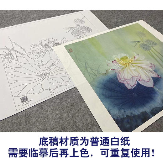 【大彩图】杨冬冬工笔画白描底稿小品《夜月幽梦》荷花临摹勾线花鸟线稿HD19 商品图3