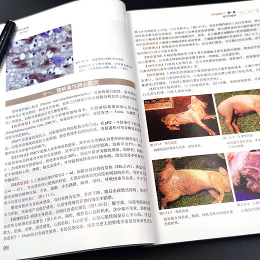 猪病诊治彩色图谱（第四版）【中国农业出版社官方正版，可开发票，下单时留开票信息和电子邮箱】 商品图3