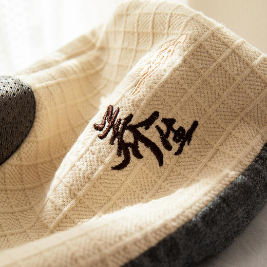 【草本荞麦 舒适好睡眠】诗梦姿纯荞麦养生枕 纯棉枕套针脚细密 手感柔软 中间网眼布设计吸湿透气 商品图2