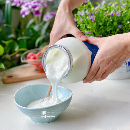 【近期生产】马三三家庭装原味酸奶1kg 商品图2