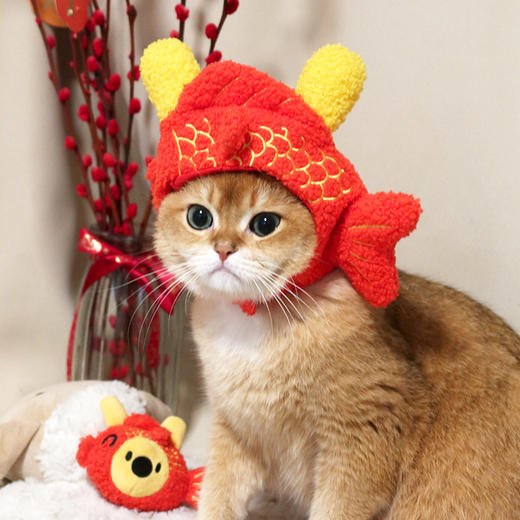 龙年系列好运连连头饰 商品图4