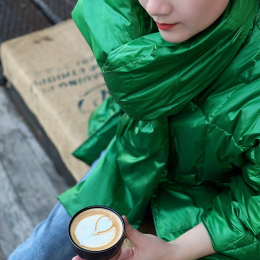 ST.SANLI【成衣系列】时尚的廓形设计款羽绒服GA122S04 商品图4