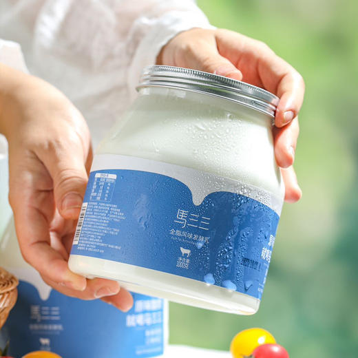 【近期生产】马三三家庭装原味酸奶1kg 商品图1