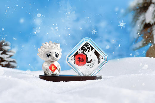 2024年贺岁银质纪念币  8克银币 商品图3