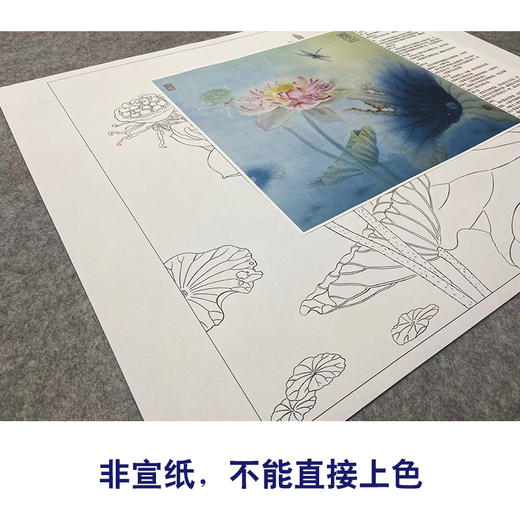 【大彩图】杨冬冬工笔画白描底稿小品《花娇欲语》荷花临摹勾线花鸟线稿HD25 商品图2