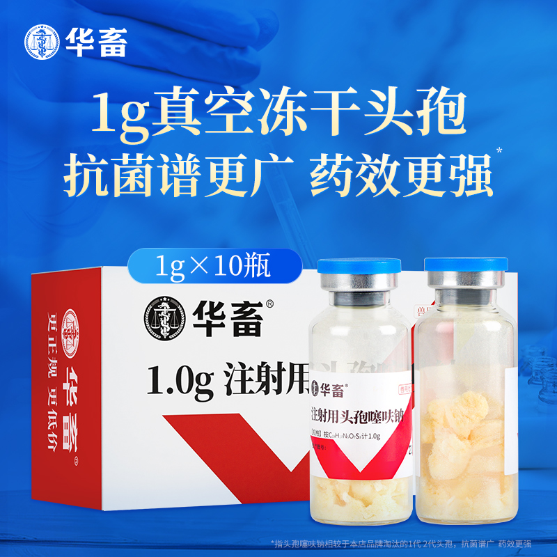 华畜 1.0g注射用头孢噻呋钠*10支 真空头孢冻干粉 疏松多孔 致敏性低