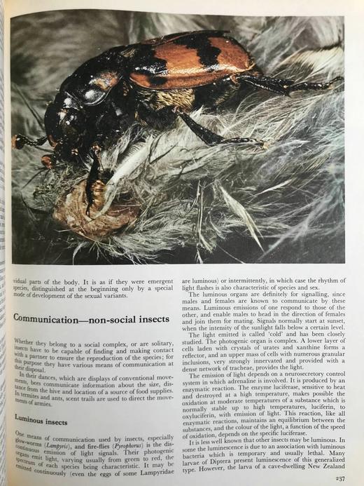 拉鲁斯动物世界百科全书 1000余幅彩色插图 精装大16开 商品图9