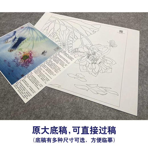 【大彩图】杨冬冬工笔画白描底稿小品《瑶台月下影》荷花临摹勾线花鸟线稿HD20 商品图1