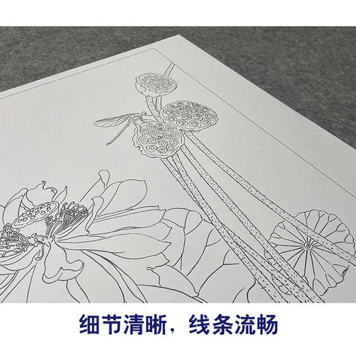 【大彩图】杨冬冬工笔画白描底稿小品《夜月幽梦》荷花临摹勾线花鸟线稿HD19 商品图4