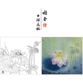 【大彩图】杨冬冬工笔画白描底稿小品《夜月幽梦》荷花临摹勾线花鸟线稿HD19