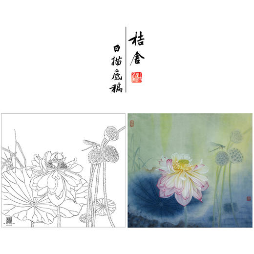 【大彩图】杨冬冬工笔画白描底稿小品《夜月幽梦》荷花临摹勾线花鸟线稿HD19 商品图0