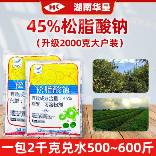 大鹏45%松脂酸钠大户包装冬季清园果树茶园清园剂粉介壳虫杀虫剂 商品图0