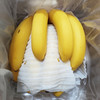 特惠活动『云南威廉斯香蕉』香甜柔糯，肉质细腻，青皮发货，需自行捂熟后食用 商品缩略图10