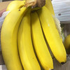 特惠活动『云南威廉斯香蕉』香甜柔糯，肉质细腻，青皮发货，需自行捂熟后食用 商品缩略图11