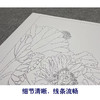 【大彩图】杨冬冬工笔画白描底稿小品《浮香绕岸》荷花临摹勾线花鸟线稿HD26 商品缩略图4