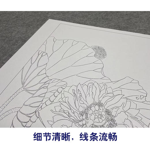 【大彩图】杨冬冬工笔画白描底稿小品《浮香绕岸》荷花临摹勾线花鸟线稿HD26 商品图4