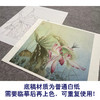 【大彩图】杨冬冬工笔画白描底稿小品《独照玉容秋》荷花临摹勾线花鸟线稿HD28 商品缩略图3