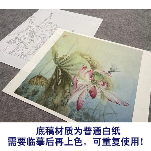 【大彩图】杨冬冬工笔画白描底稿小品《独照玉容秋》荷花临摹勾线花鸟线稿HD28 商品图3