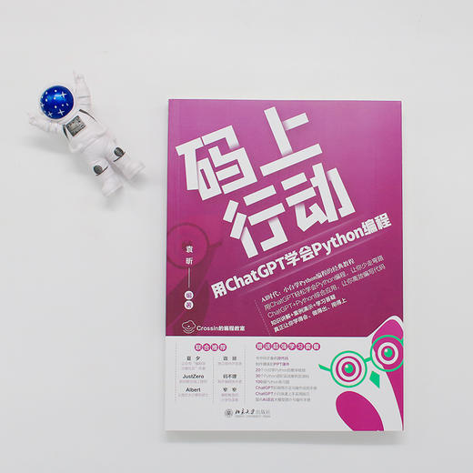 码上行动：用ChatGPT学会Python编程 袁昕 编著 北京大学出版社 商品图2