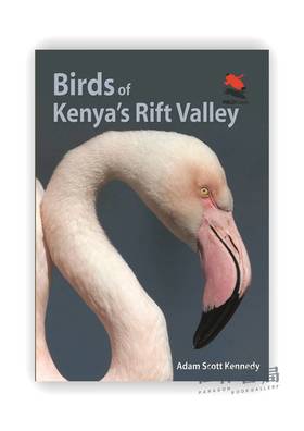 Birds of Kenya's Rift Valley / 肯尼亚大裂谷的鸟类