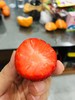 【水果-1月15日配送】当日现采 巧克力草莓1.5斤家庭装 （无膨大剂、催红素） 商品缩略图1