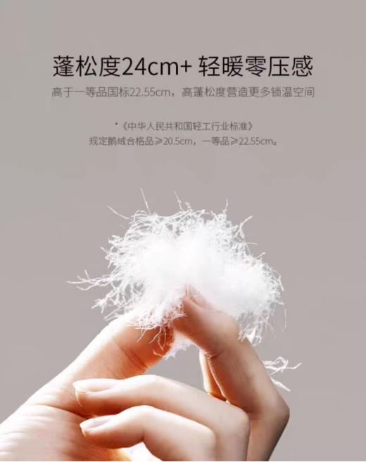 罗卡芙95%白鹅绒抗菌分区保温鹅绒春秋被/冬被  布雷西亚鹅绒被 商品图2