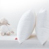 梦洁  枕芯   纯棉德国芯高弹舒柔对枕【50*70】 商品缩略图0