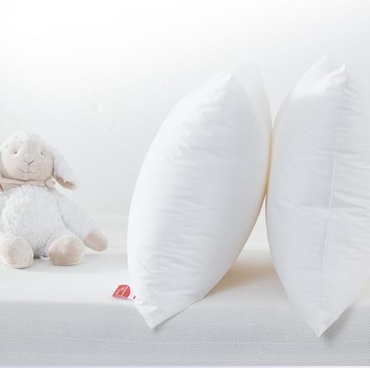 梦洁  枕芯   纯棉德国芯高弹舒柔对枕【50*70】 商品图0