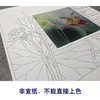 【大彩图】杨冬冬工笔画白描底稿小品《莲蕊染香尘》荷花临摹勾线花鸟线稿HD24 商品缩略图2