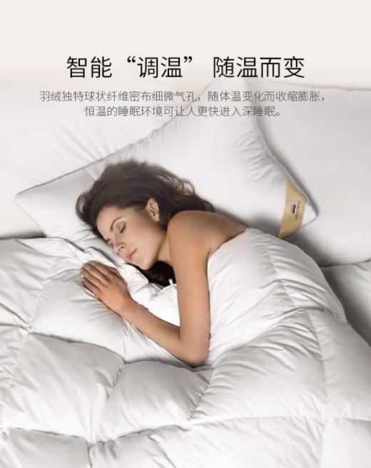 罗卡芙95%白鹅绒抗菌分区保温鹅绒春秋被/冬被  布雷西亚鹅绒被 商品图5