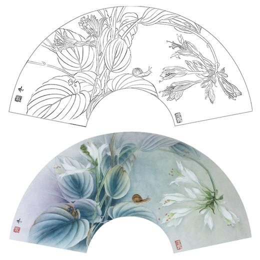 【大彩图】杨冬冬工笔画白描底稿扇面小品《玉簪花》临摹勾线花鸟线稿HD60 商品图0