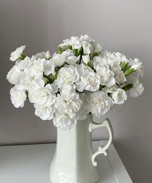 【稀有系列】多丁康乃馨-茉莉（白色）约20枝/扎 商品图3