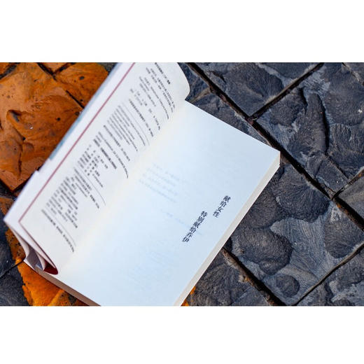 冰路狂花：在最危险的公路上寻找快乐（美）埃米·布彻 著 商品图6